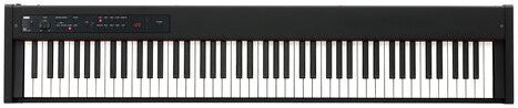 

Цифровое пианино KORG D1 (черный)