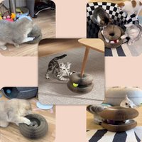 Когтеточка Pet Paws TBD06035174