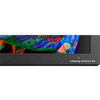 Монитор NEC PA311D-BK