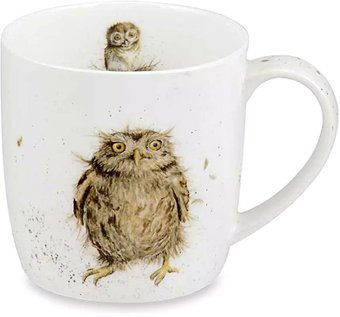 Кружка Royal Worcester Забавная фауна Сова RWC MMKD5629-XT-1