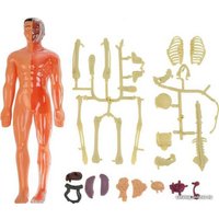 Набор для опытов ND Play Строение тела NDP-119