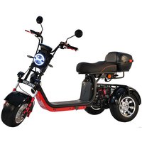Электроскутер White Siberia CityCoco WS-Pro Trike 3000W 21Ah (с черными брызговиками)
