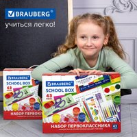 Набор школьника BRAUBERG В подарочной коробке 880949 (43 предмета)