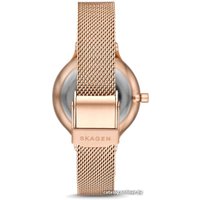 Наручные часы Skagen Anita SKW2865