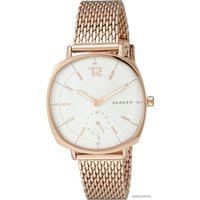 Наручные часы Skagen SKW2401