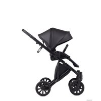 Универсальная коляска Anex E/type 2022 (2 в 1, noir et-05A)