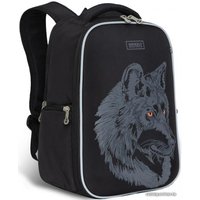 Школьный рюкзак Grizzly RB-153-4/1 (черный)