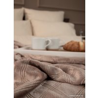 Плед Tex Republic Elite Клетка Фланель Евро 93382 (коричневый)