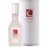 Туалетная вода Hunca Caldion EdT 100 мл