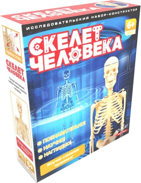

Конструктор ND Play Скелет человека 277382 NDP-058