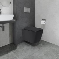 Унитаз подвесной Lauter Magdeburg 21103EC + 21901002 (кнопка узкая, черный)