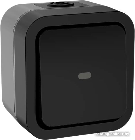 Выключатель IEK Tors TS-V10-1-10-55-K53