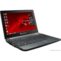 Нетбук Packard Bell DOTS-C-261G32Nkk (NU.BXQER.003)