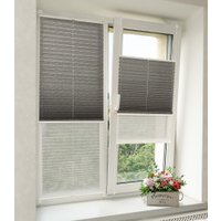 Плиссе Delfa Basic Walnut СПШ-3401/1102 Basic Transparent (57x160, антрацит/белый)