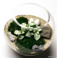 Флорариум Home Garden Маленький Шар