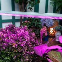 Линейный светильник Uniel ULI-P21-24W/SPSB IP40 WHITE Спектр для рассады и цветения UL-00008921