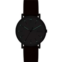 Наручные часы Skagen SKW6903 в Бресте