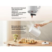 Электрический чайник Xiaomi Electric Kettle 2 Lite MJDSH06-A (евровилка)