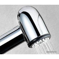 Гигиенический душ Wasserkraft A11056