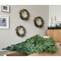 Ель Albero Di Natale Foresta 2.1 м