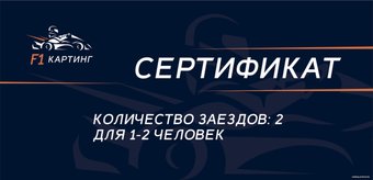 F1-Картинг 2 заезда
