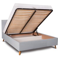 Кровать ДеньНочь Анель Люкс KR00-39 180x200 (KKR39.4L/PR05)