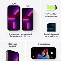 Телефон Apple iPhone 13 Pro Max 256GB Восстановленный by Breezy, грейд C (графитовый)
