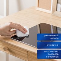 Влажные салфетки BRAUBERG 510122 (100 шт)