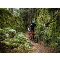 Велосипед Trek Marlin 7 29 (серый, 2019)