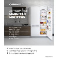Однокамерный холодильник MAUNFELD MBL177SW