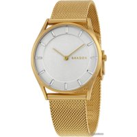 Наручные часы Skagen SKW2377