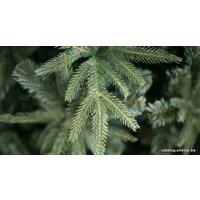 Ель Green Trees Фьерро премиум 2.4 м