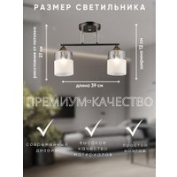 Люстра средней высоты Aitin Pro НПБ 02-2x60-101 A4409/2 (черный/золото)