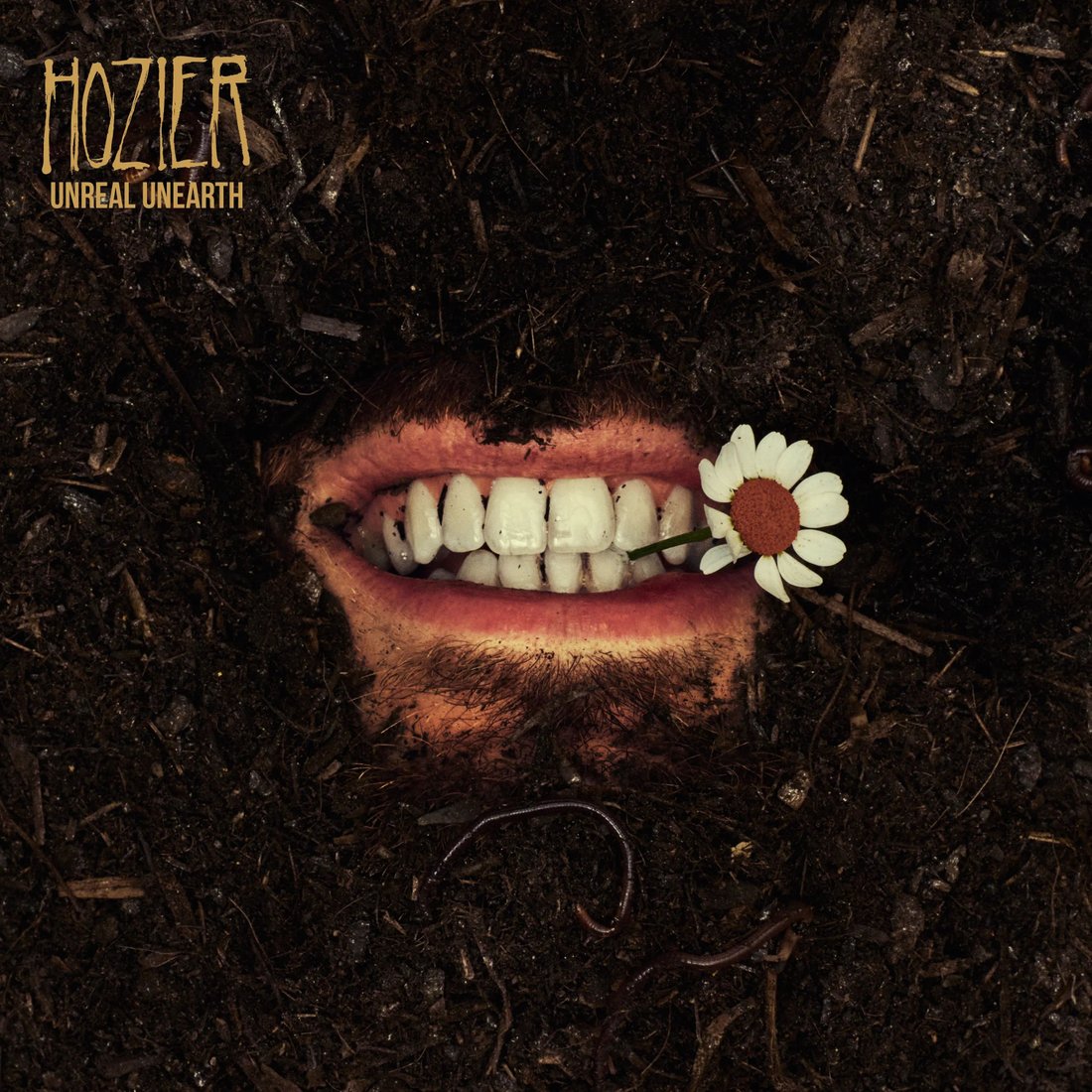 

Виниловая пластинка Hozier - Unreal Unearth