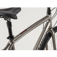 Велосипед Trek Verve 2 Disc XL 2020 (серый)