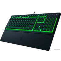 Клавиатура Razer Ornata V3 X