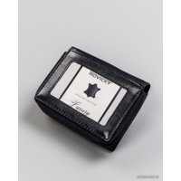 Кошелек Cedar Rovicky R-RD-34-GCL (синий)