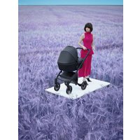 Универсальная коляска Anex E/type 2022 (2 в 1, noir et-05A)