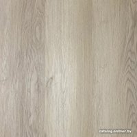 Виниловый пол Swissfloor SPC Плейс Люцерн PL1-04 в Витебске