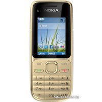 Телефон Nokia C2-01