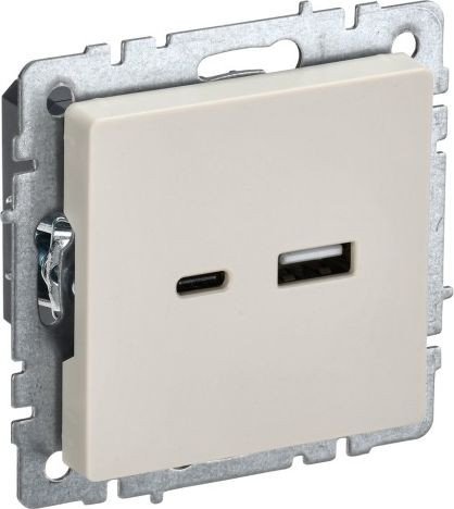 Розетка USB IEK Brite BR-U22-018-K10