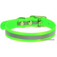 Ошейник Каскад 00215302-05 (зеленый)