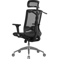 Офисное кресло Evolution FUSION Mesh (черный)