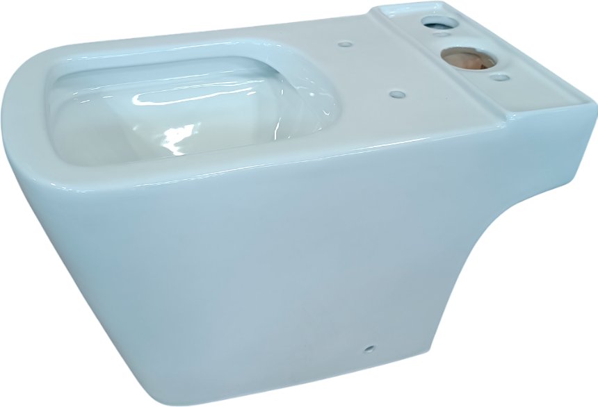 

Унитаз напольный Lauter W09 P-TRAP с жестким сиденьем и микролифтом 21900002 (горизонтальный выпуск, чаша)