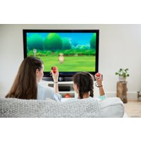 Контроллер движения Nintendo Poke Ball Plus