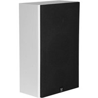 WILSON Raptor On-Wall White Ash