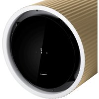 Кухонная вытяжка MAUNFELD Edelweiss 39 Wall (золотой)