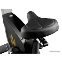 Велотренажер Hasttings Wega S300 в Бобруйске