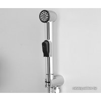 Гигиенический душ Wasserkraft A043