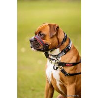 Недоуздок Halti Optifit Headcollar M (черный)